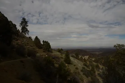 DSC_6299 (Large).JPG